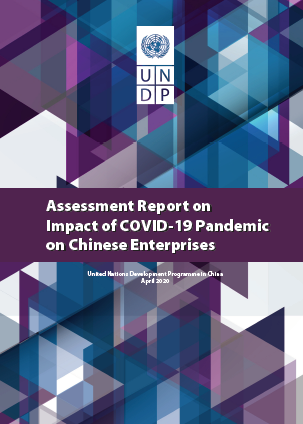 Impact of COVID-19 Pandemic on Chinese Enterprises