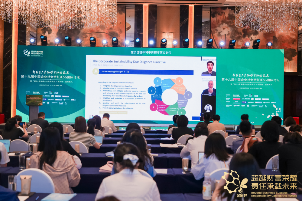 CSR Europe: Calling for beyond compliance and welcoming the new era of sustainable development